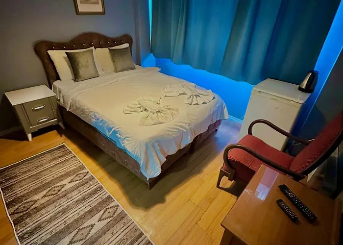 호텔 Ayasofya Raydon Life *