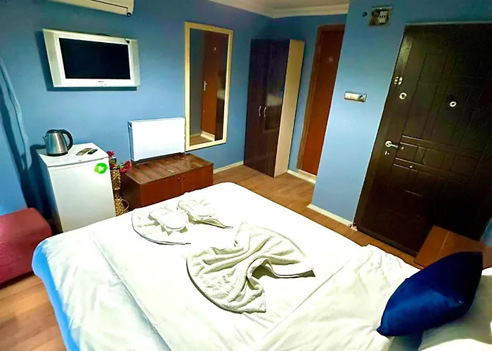 호텔 Ayasofya Raydon Life *