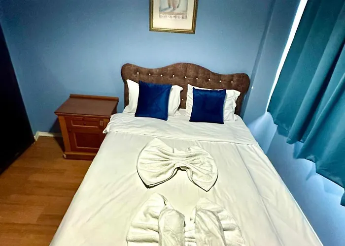 호텔 Ayasofya Raydon Life *